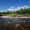 Впав в состояние нирваны, я плавно сливаюсь с пейзажем, становясь похожим на увенчанный панамкой пень, на котором кто-то случайно забыл свои снасти. Обнаглевшие кузнечики садятся на плечи, словно ручные пучеглазые попугаи. И, нагадив на жилетку, с треском взмывают в еще прохладный утренний воздух.
