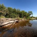 Впрочем, даже на обычном нахлысте с катушкой обычно нет необходимости забрасывать шнур дальше, чем удается рассмотреть плывущую муху.
