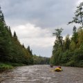 Но, словно извиняясь за беспорядок и не в меру налитую воду, Арму, казалось, была к нам необычайно милостива. В первые дни мы без труда находили стоянки — то на дороге к старому зимовью, то на старательно вытоптанной кабанами поляне. Докучливых же комаров и мошки не было вовсе, словно и никогда не водилось крылатой нечисти в этих краях.
