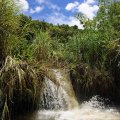 Впрочем, на реке можно без труда найти маленькую лодку, чтобы подобраться ближе к водопадам, и просто уединиться в прохладной тени прибрежных зарослей.
