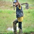 Индонезия богата на различные диковины. Сочная природа словно конкурирует с не менее сочными типажами местных жителей. Буйство растительности плавно сменяется кровожадной экзотикой местных обрядов. От многообразия тесно соседствующих племен и религий рябит в глазах, а тропическая жара побережья контрастирует с холодом горных районов.
