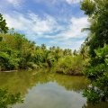 На крохотном острове уместился и тропический лес, и пресный водоем.
