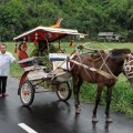 Пестро украшенные повозки снуют по сельским дорогам.
